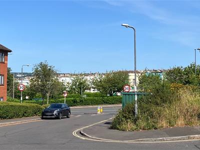 Picture 20